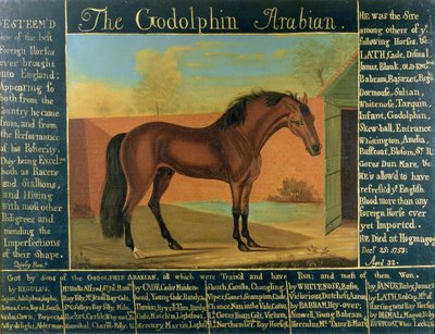 The Godolphin Arabian by Daniel Quigley